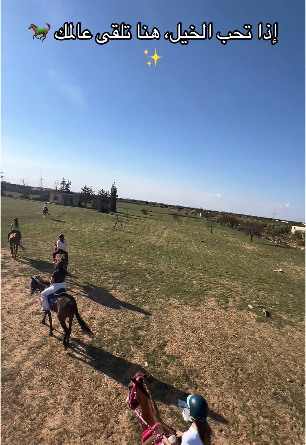 @Feres Ben Amor 🏇