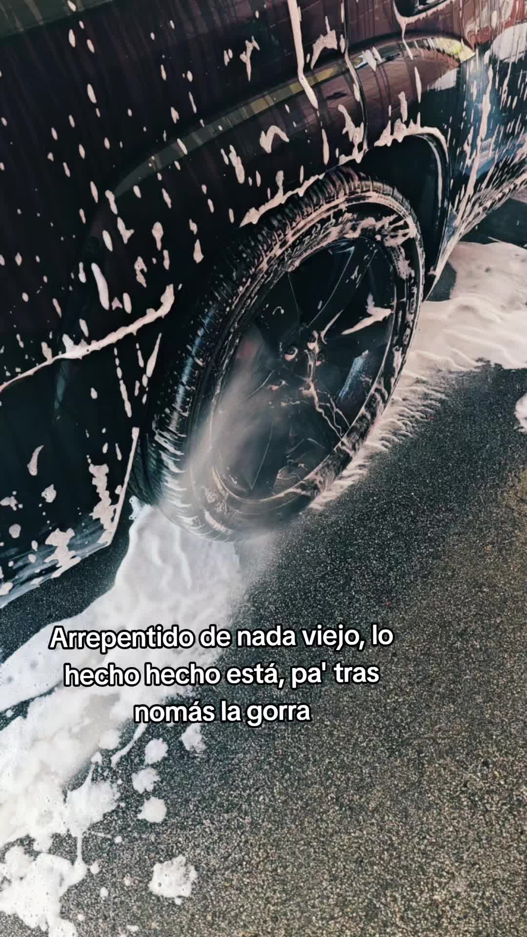 @tbss_isidro🦍