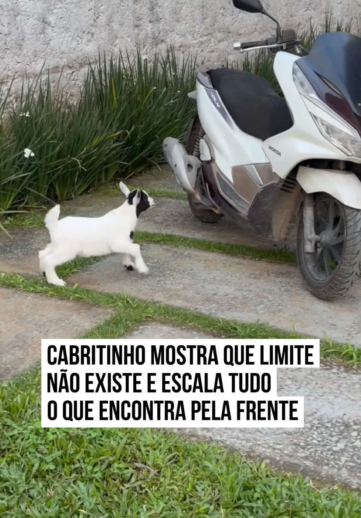 @Metrópoles Oficial