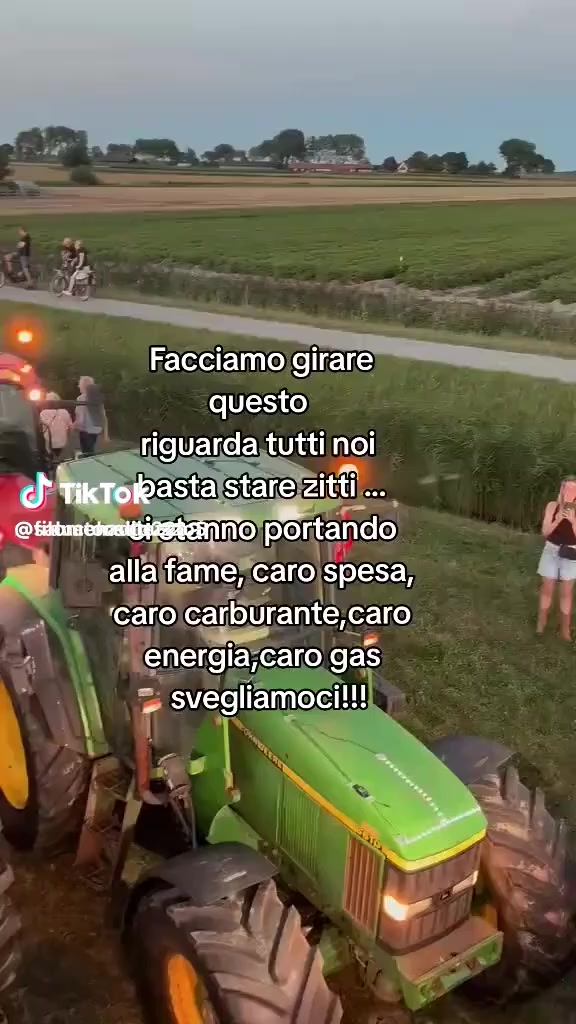 @Mena Vitale