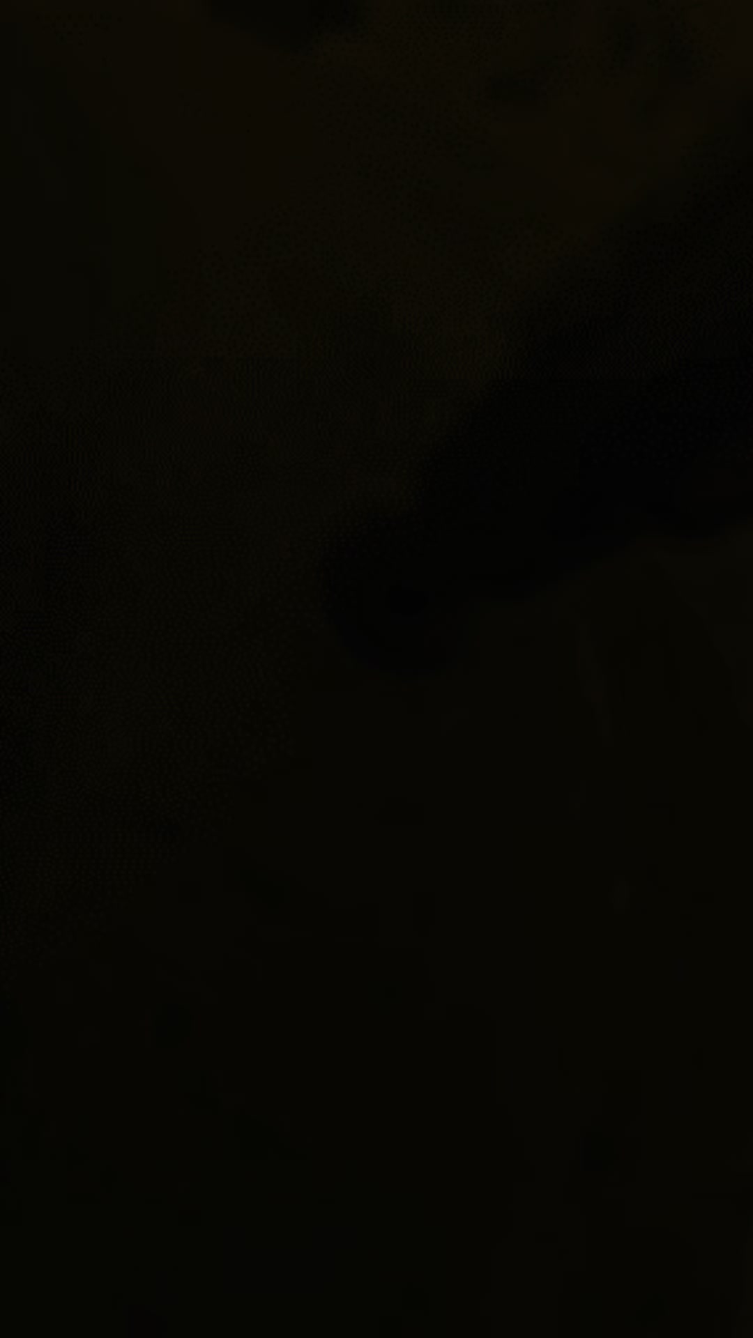 @pedroorzia_