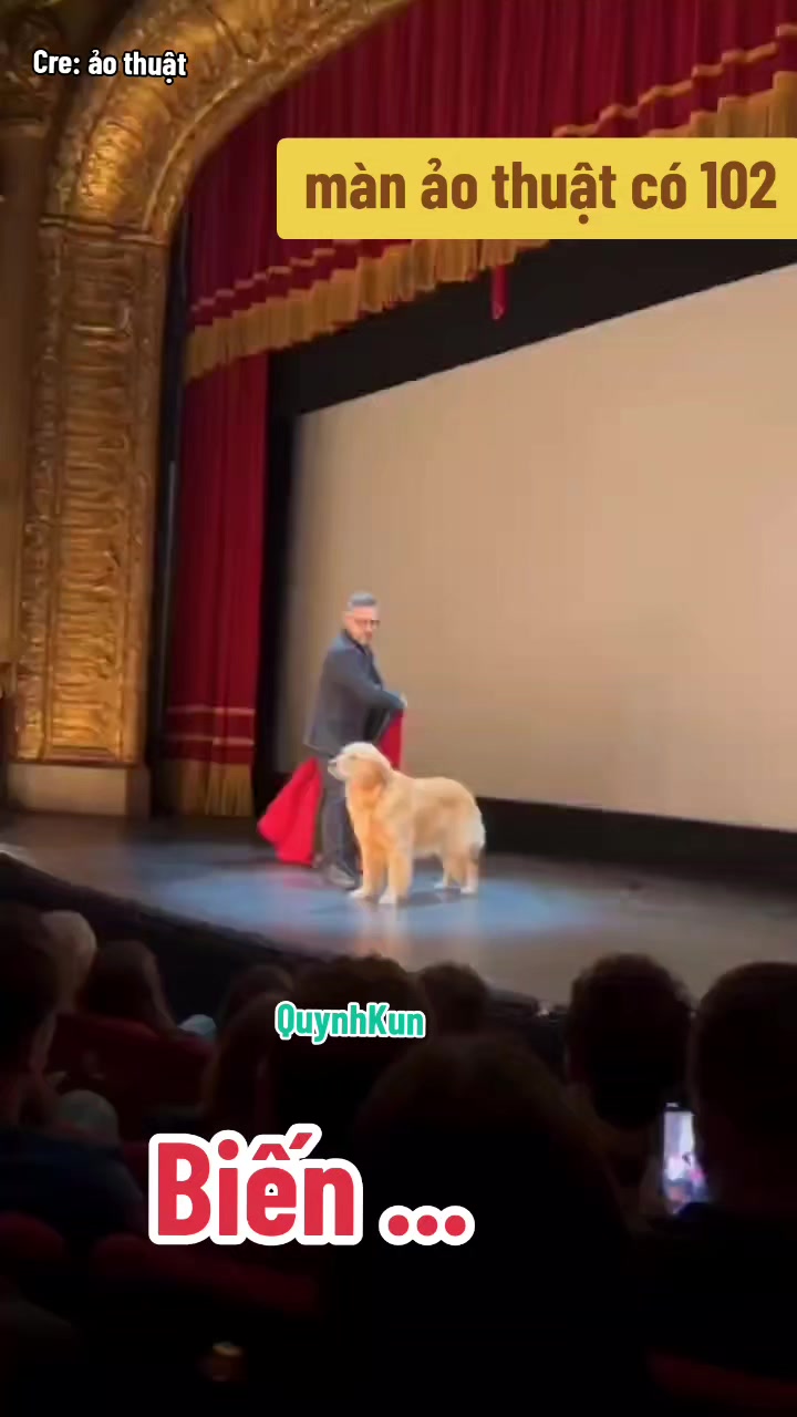 @QuynhKun