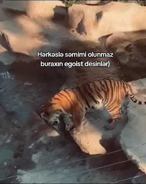 @𝓪🏹