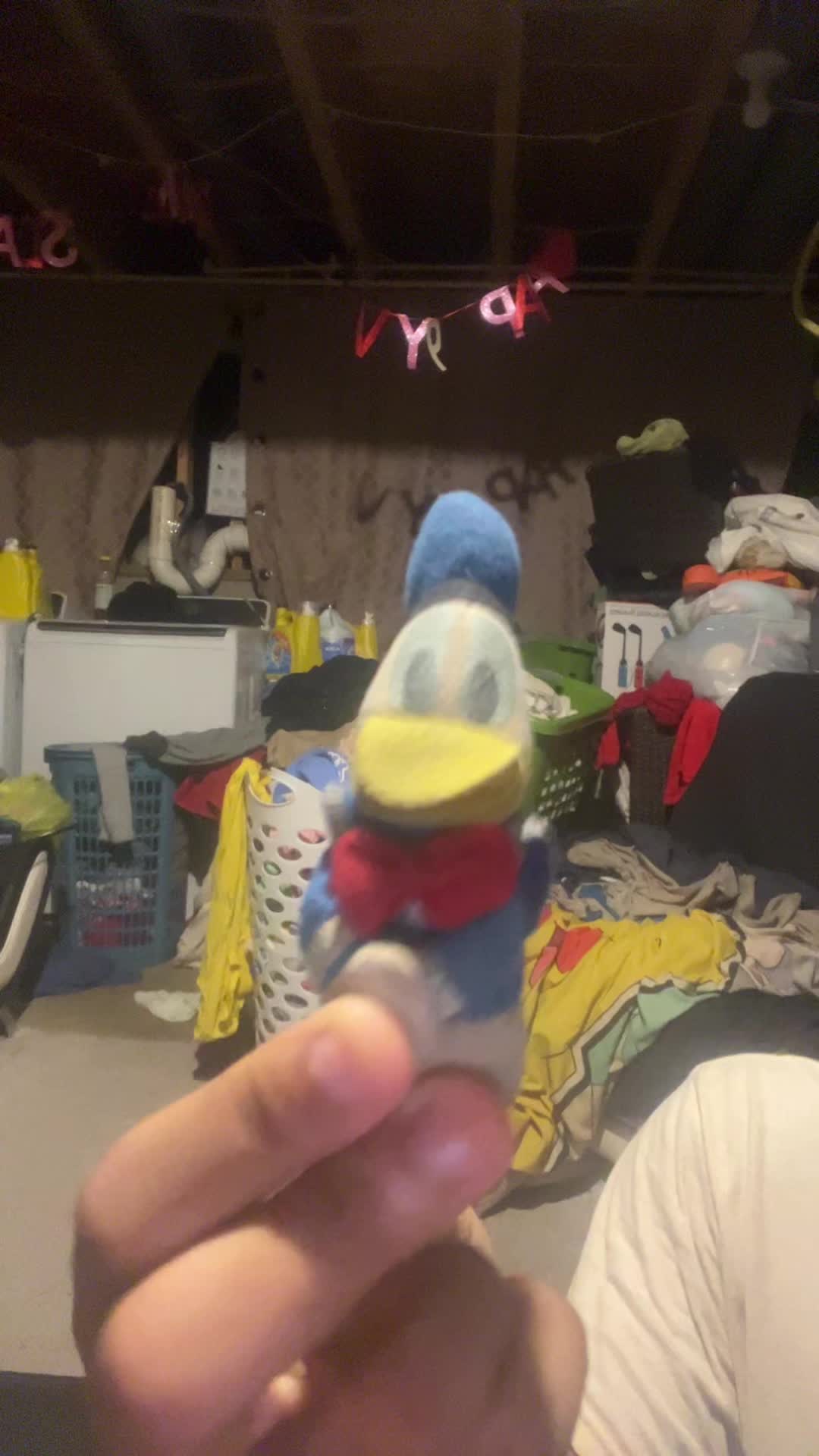 @Donald Duck