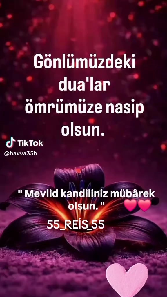 @55_REİS_55