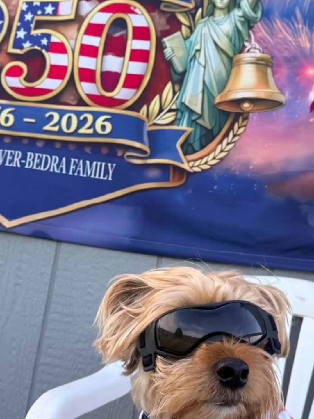 @masonyorkieandmom18