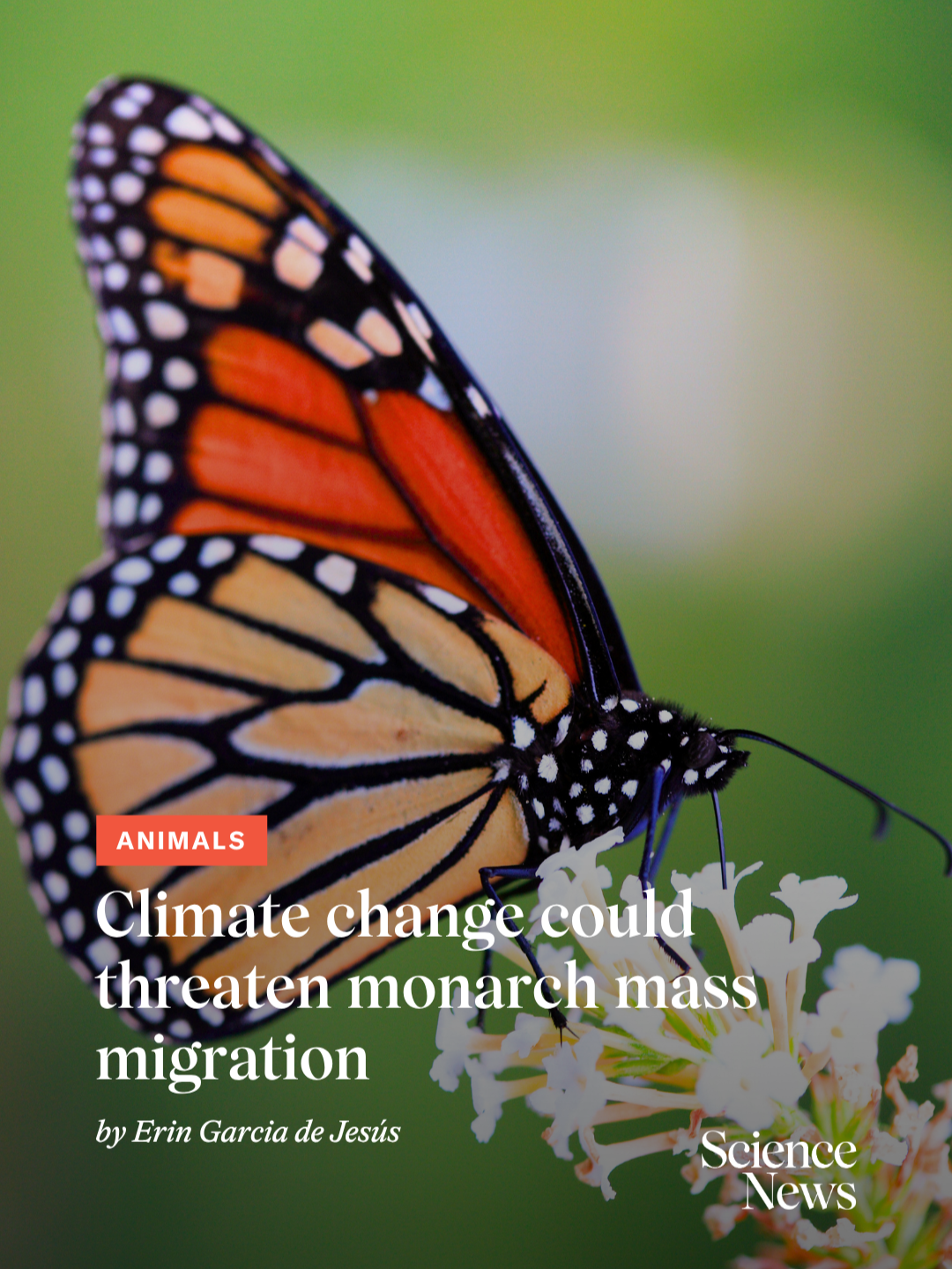 @Science News