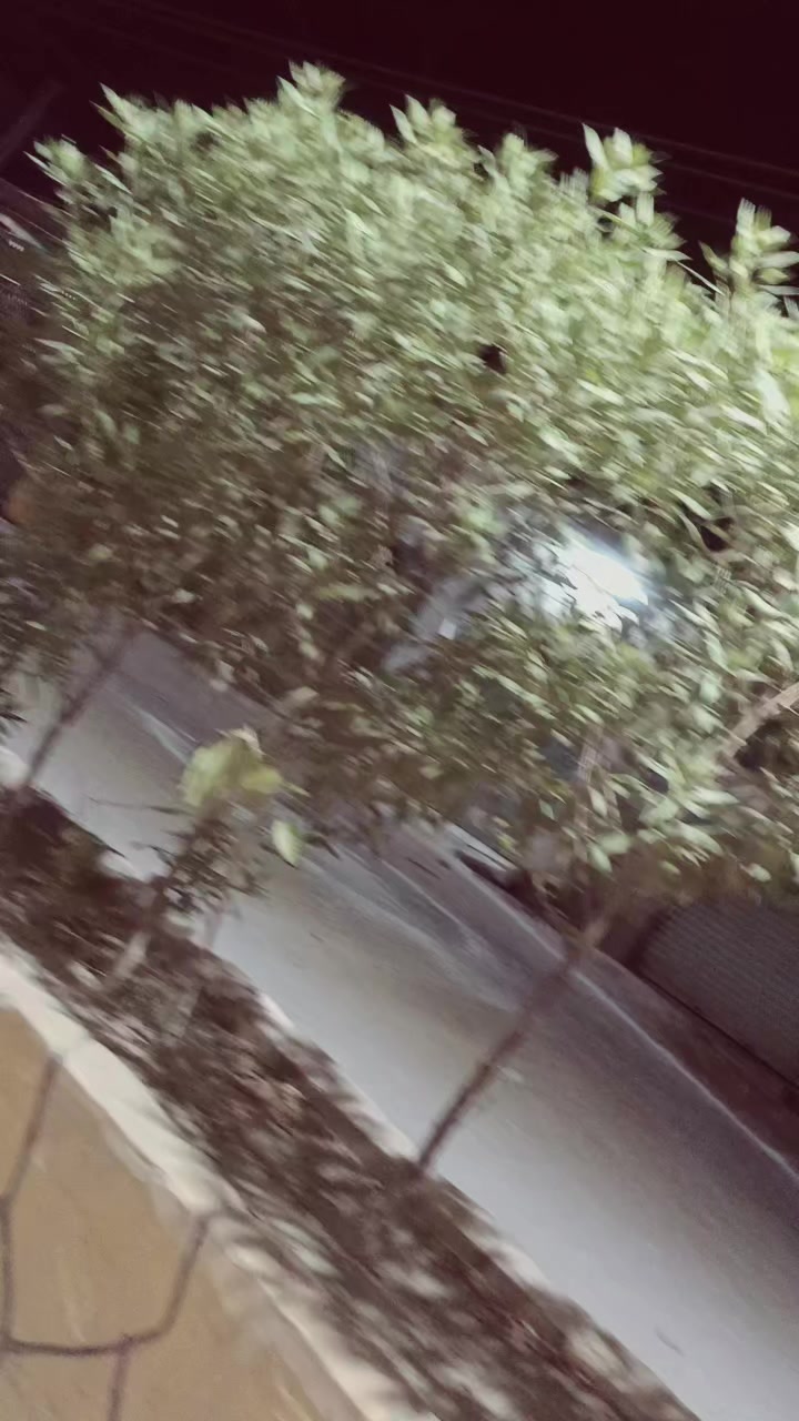@Tanveer Ali Rahujo