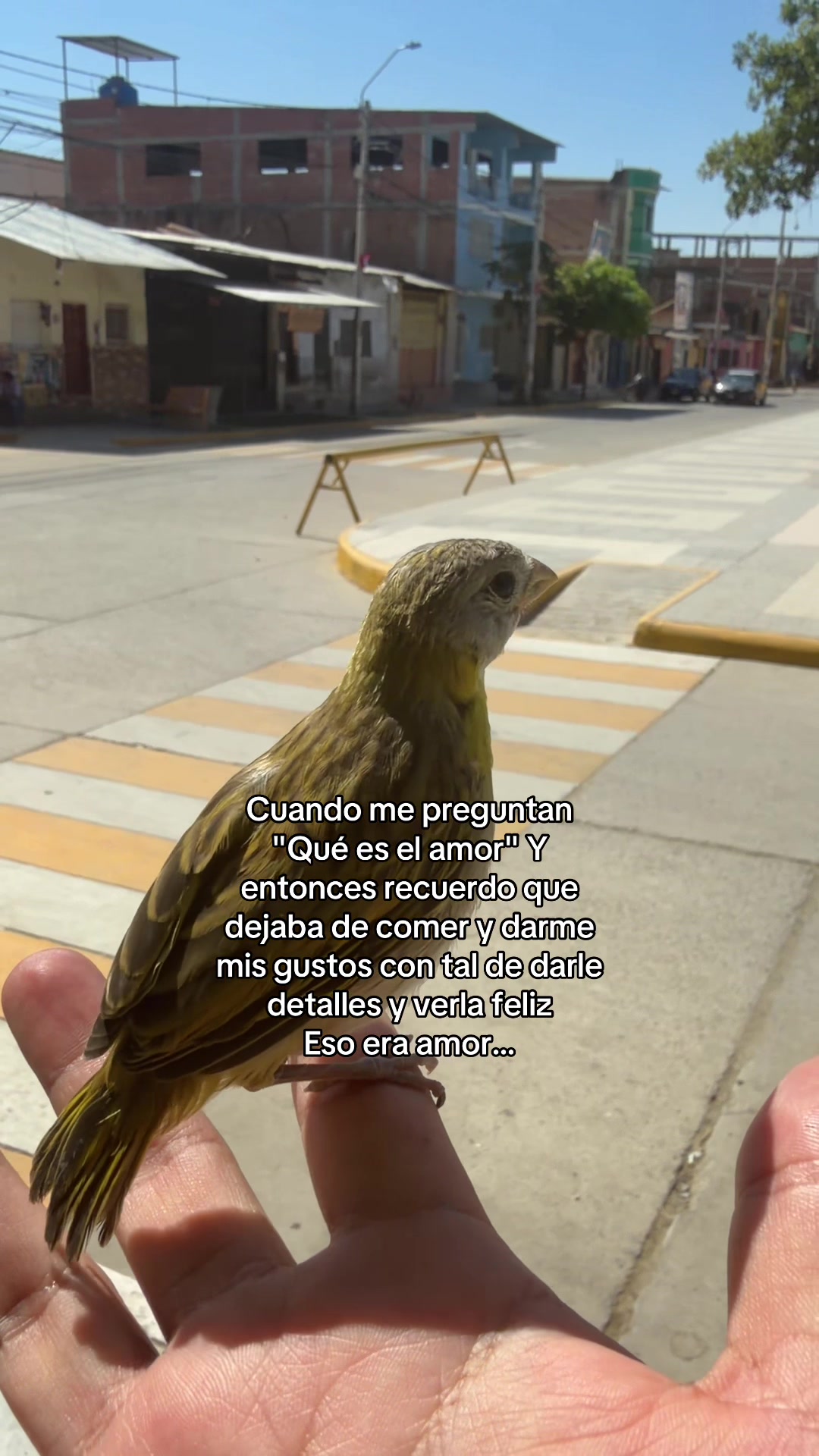 @Miguel Ayra