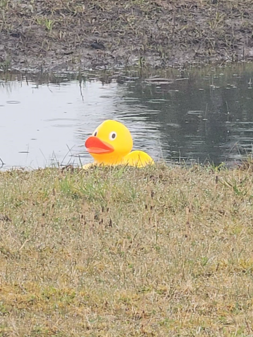 @Ponyo🖤