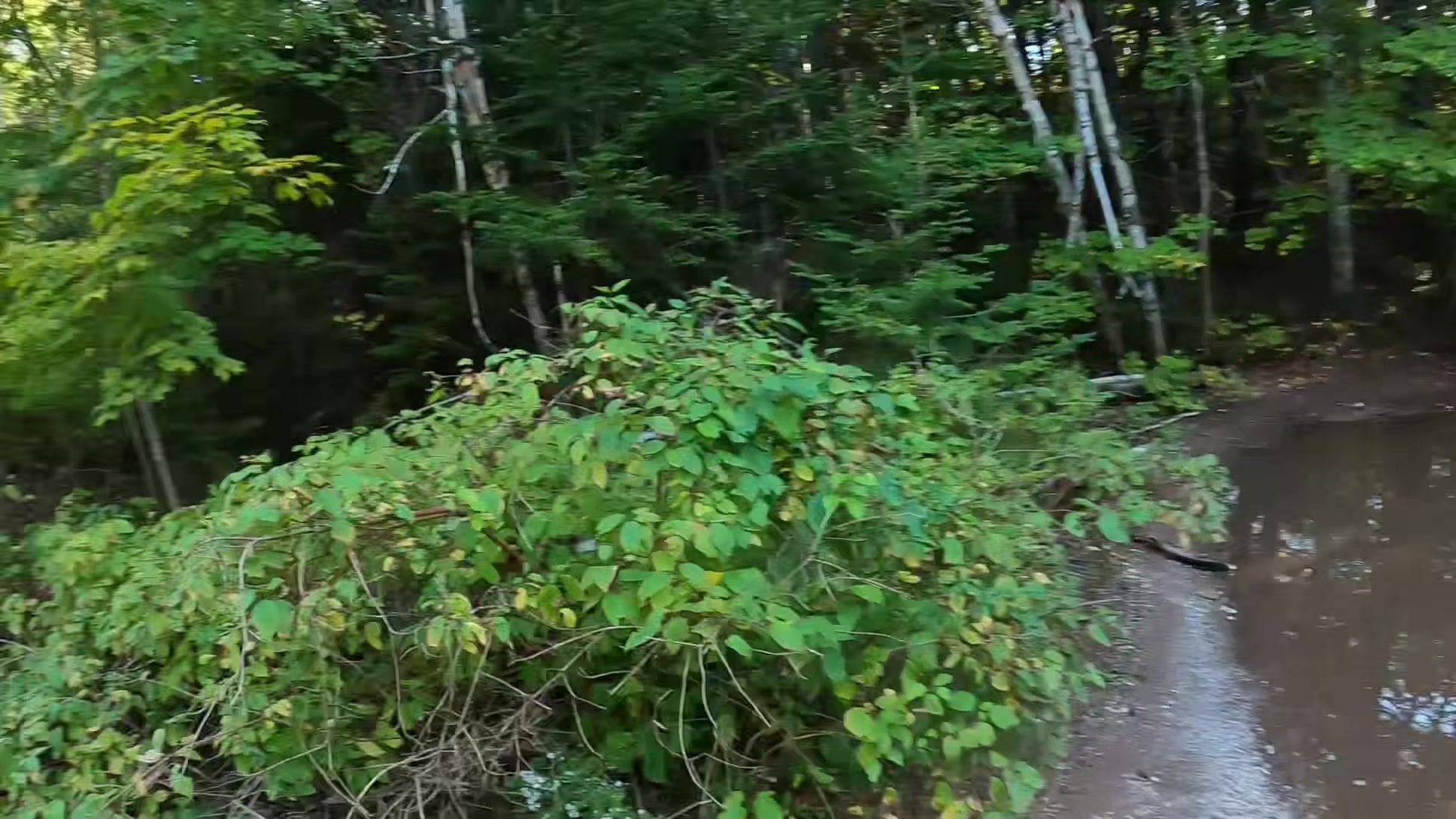 @EastCoastBrappin