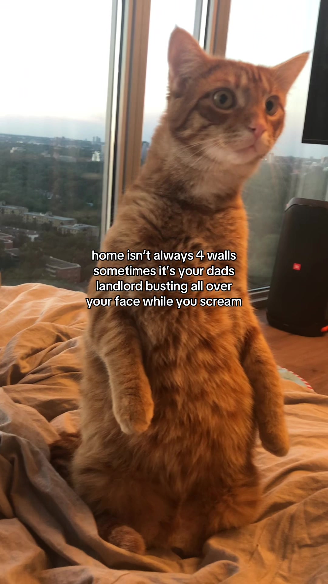 @your dads landlord