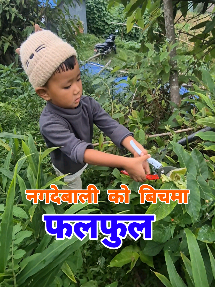@Sembuchha Vlogs