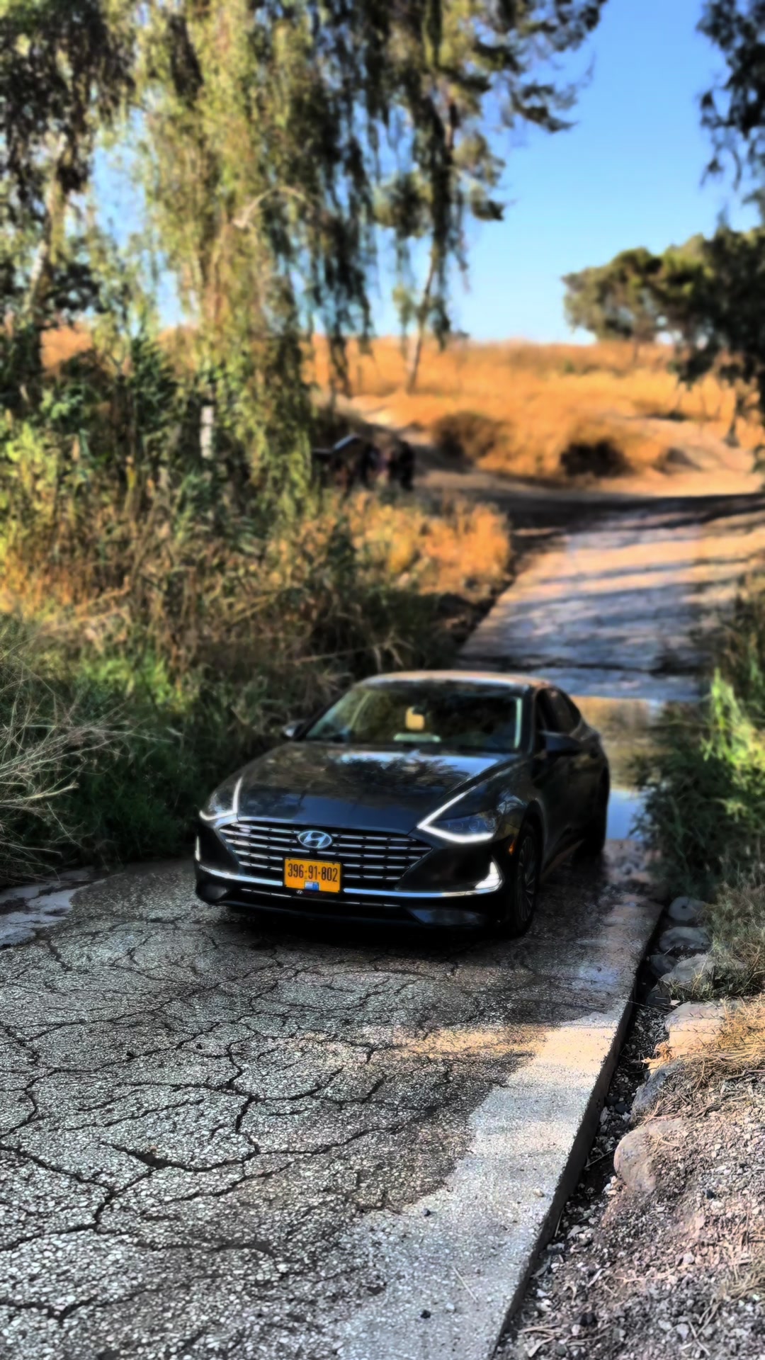 @עז אלדין 🍂.