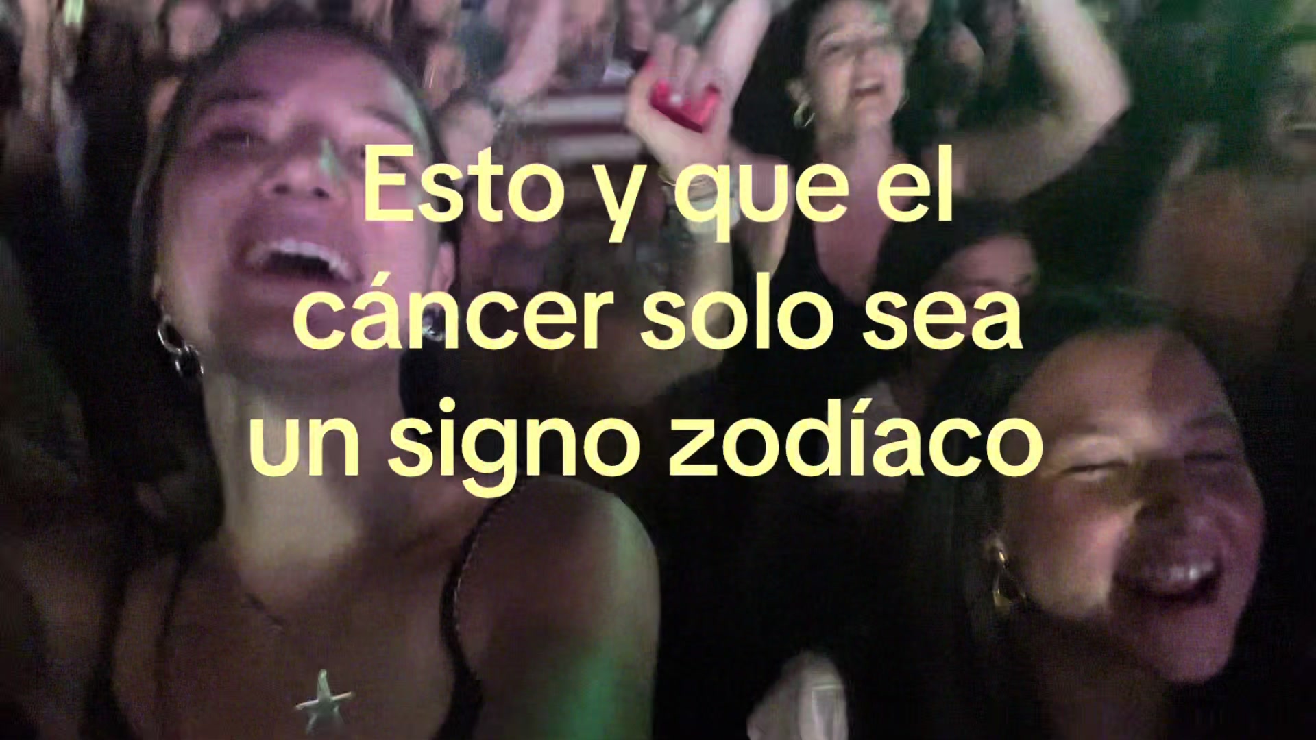 @piilii.miilii