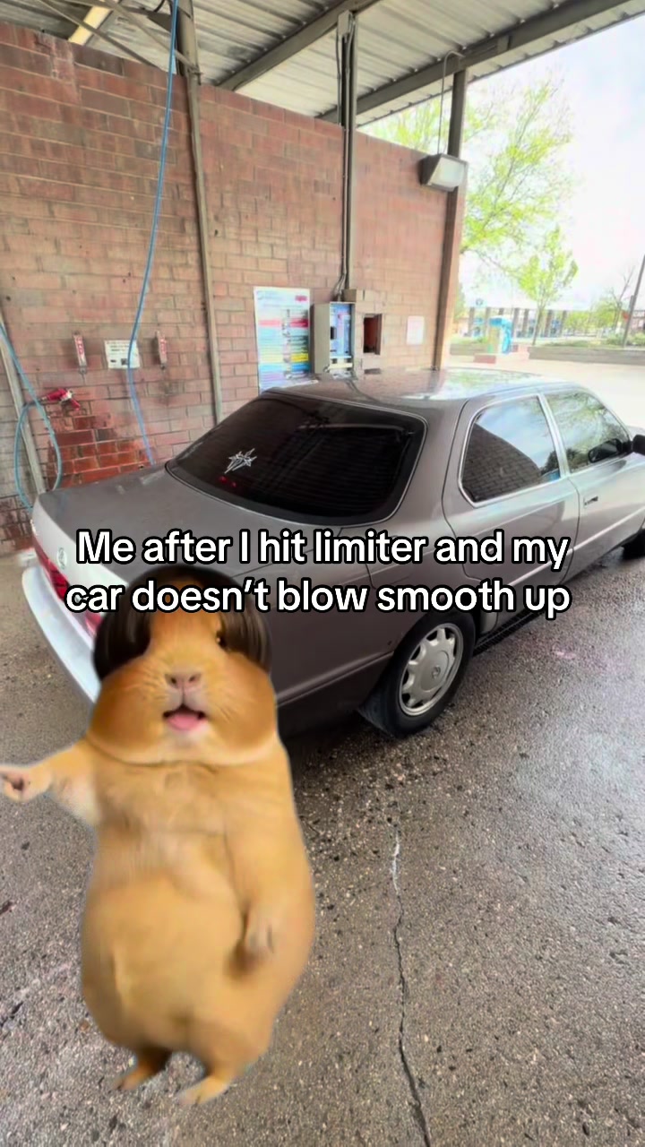 @lux_V8