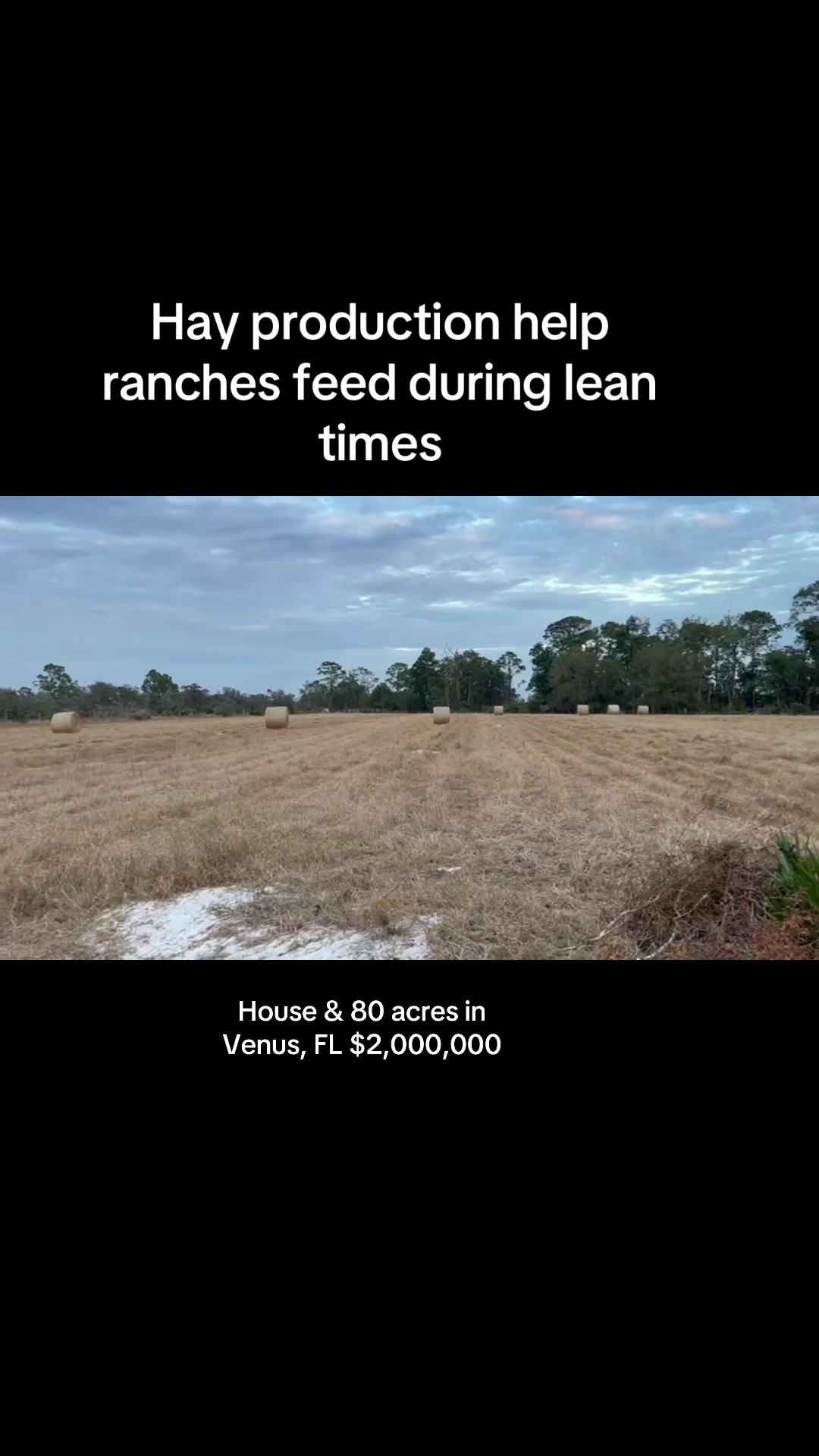 @Florida Land Guy