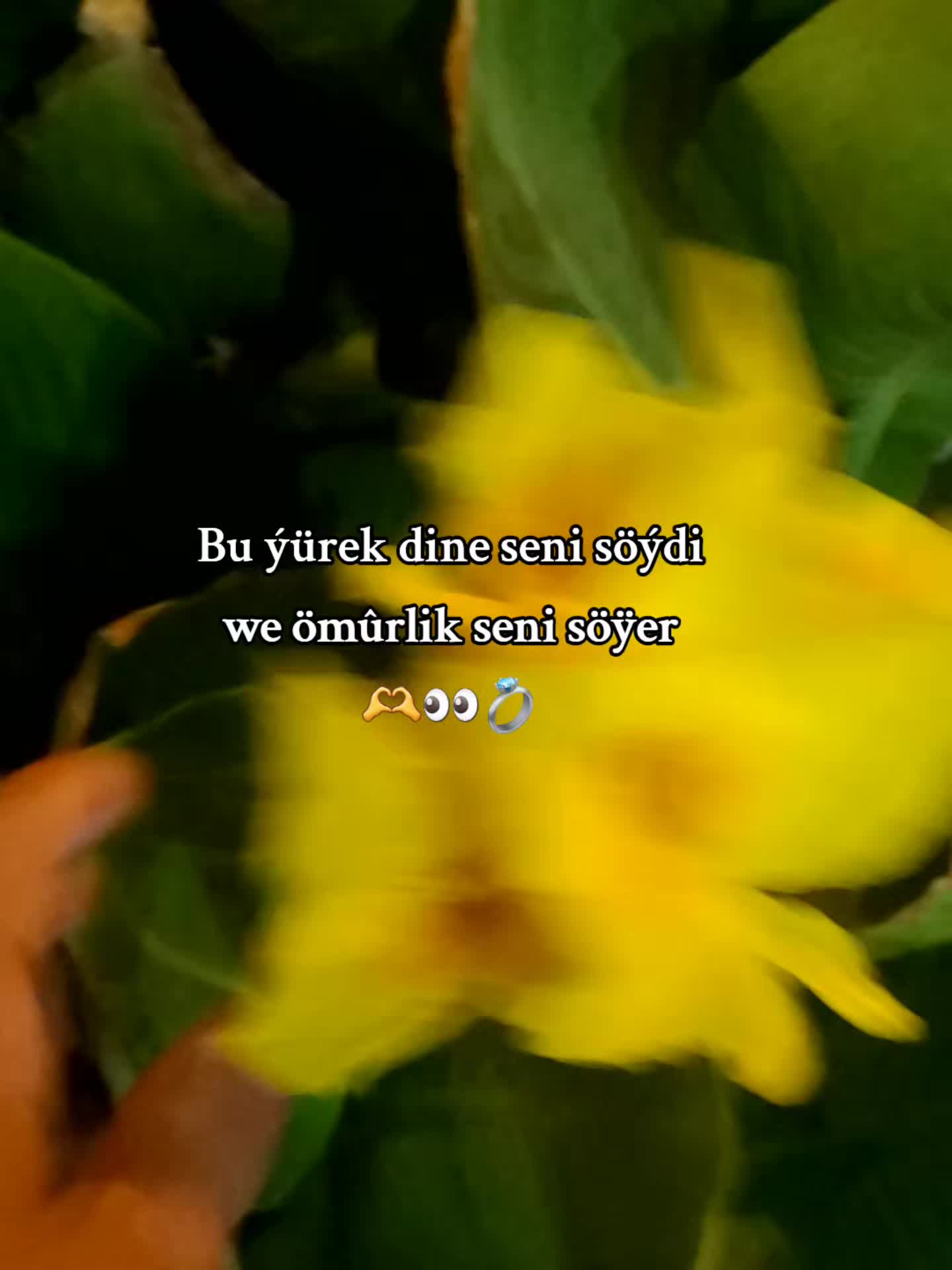 @𝒮𝓎𝓁𝒶𝓅_🥷🏻💚