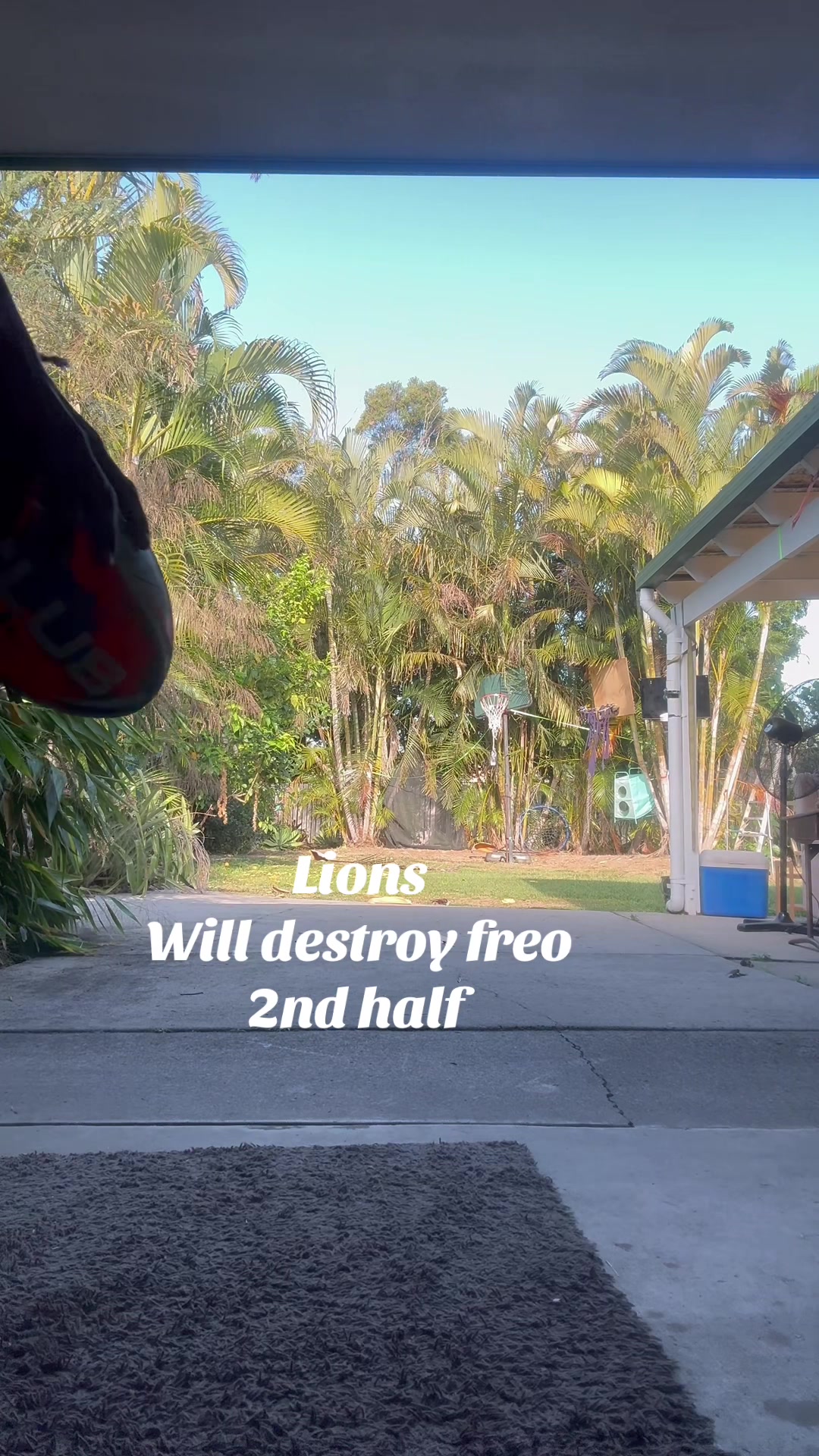 @Chook Lion