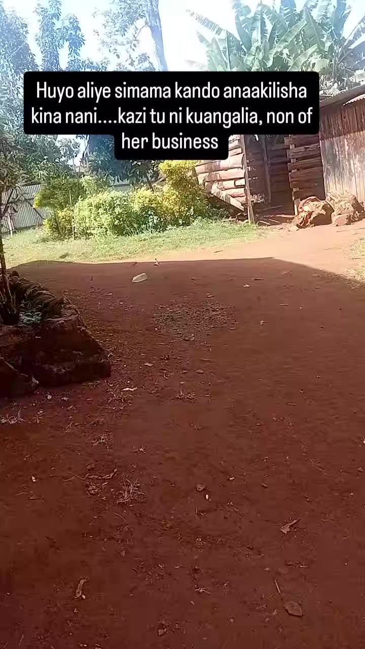 @Tringurien
