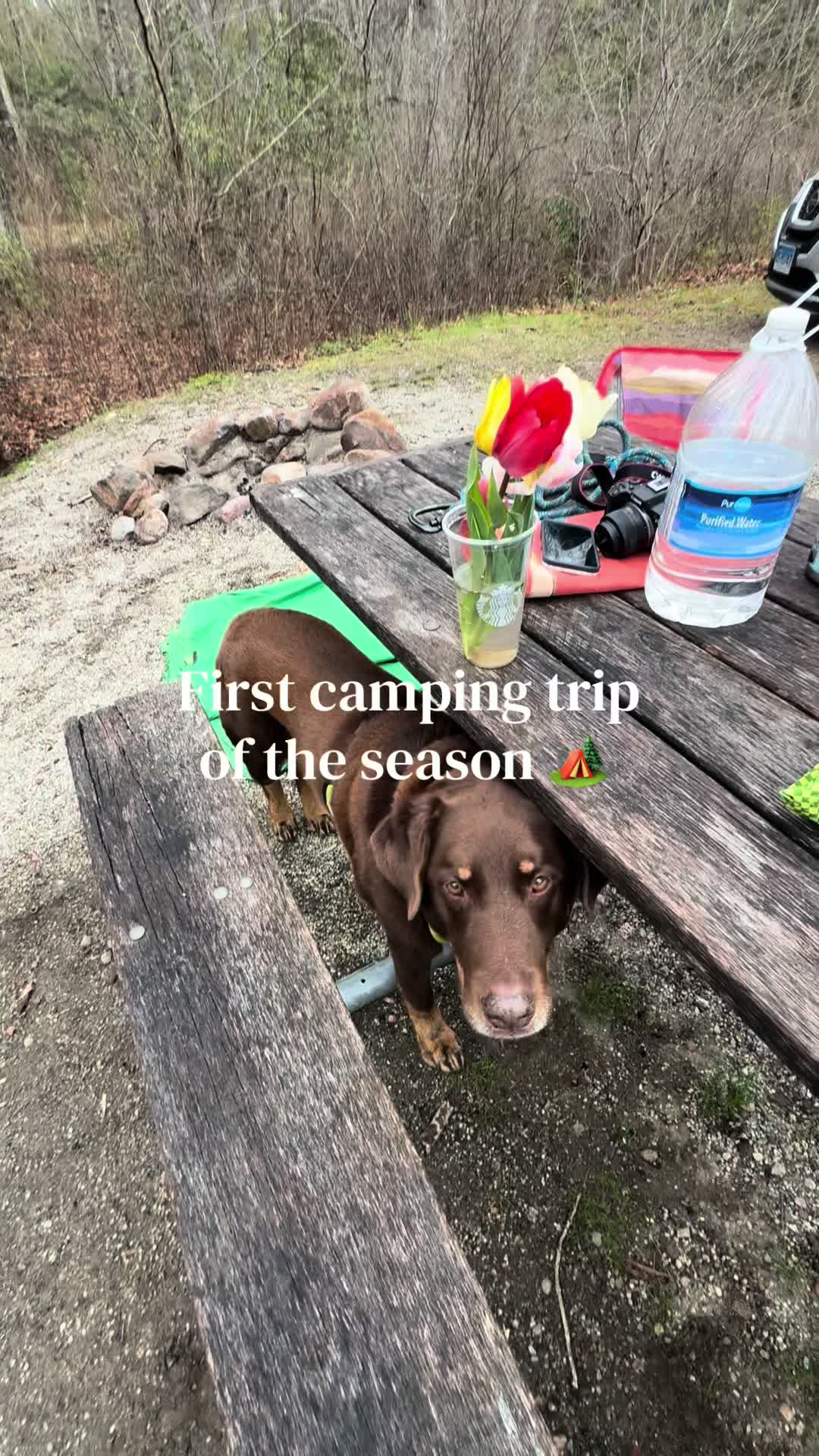 @Travelwithtewks