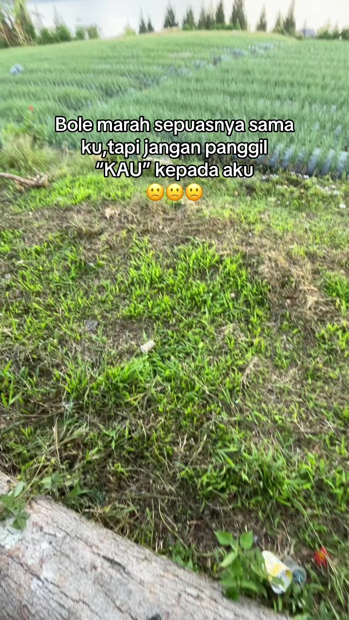@Moyyy🤏🏻