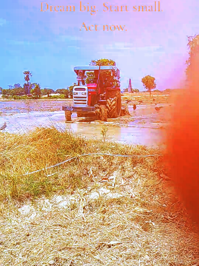 @tractormf