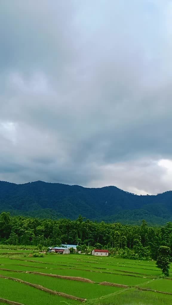 @jamuna bhandari