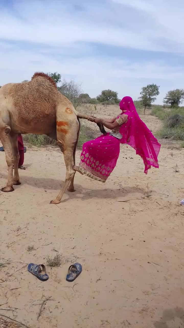 @Sakina 🐪
