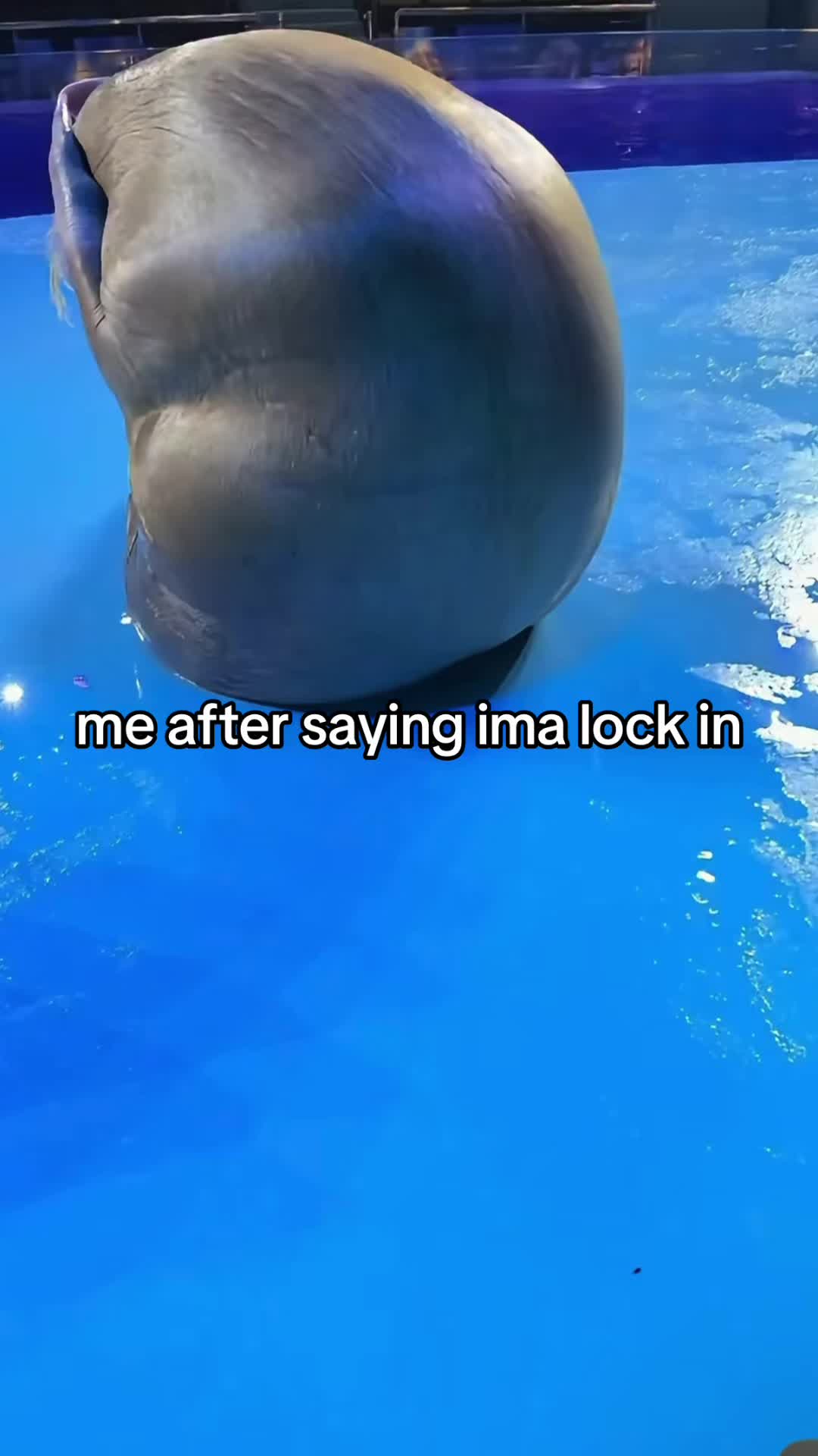 @11