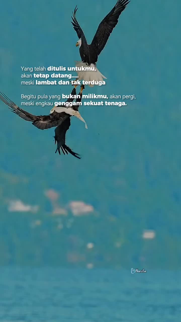 @ᥫ᭡ᴄᴇᴏ_ᴏғ_sᴛᴏʀʏ