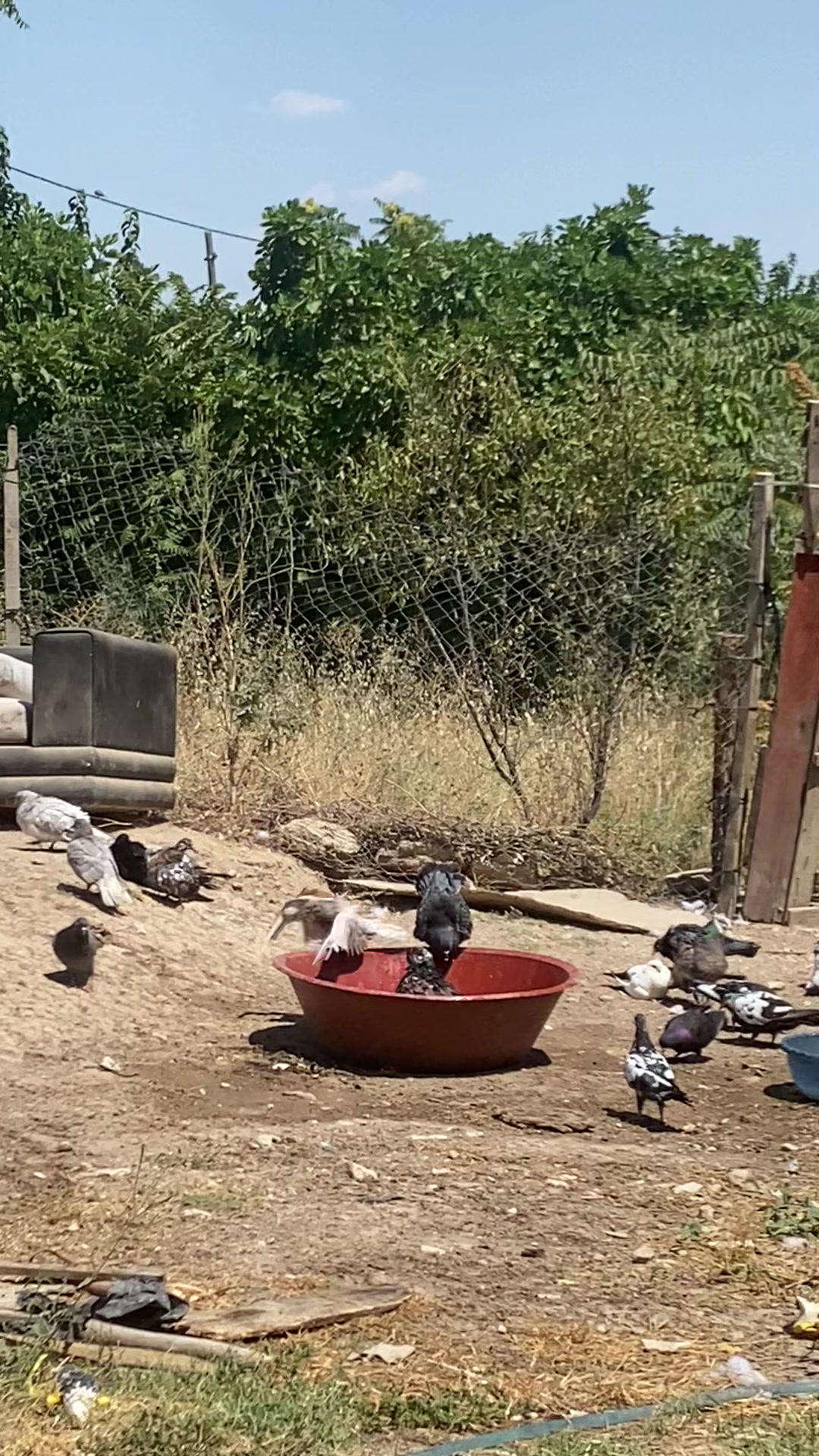 @Miro dolapçıları