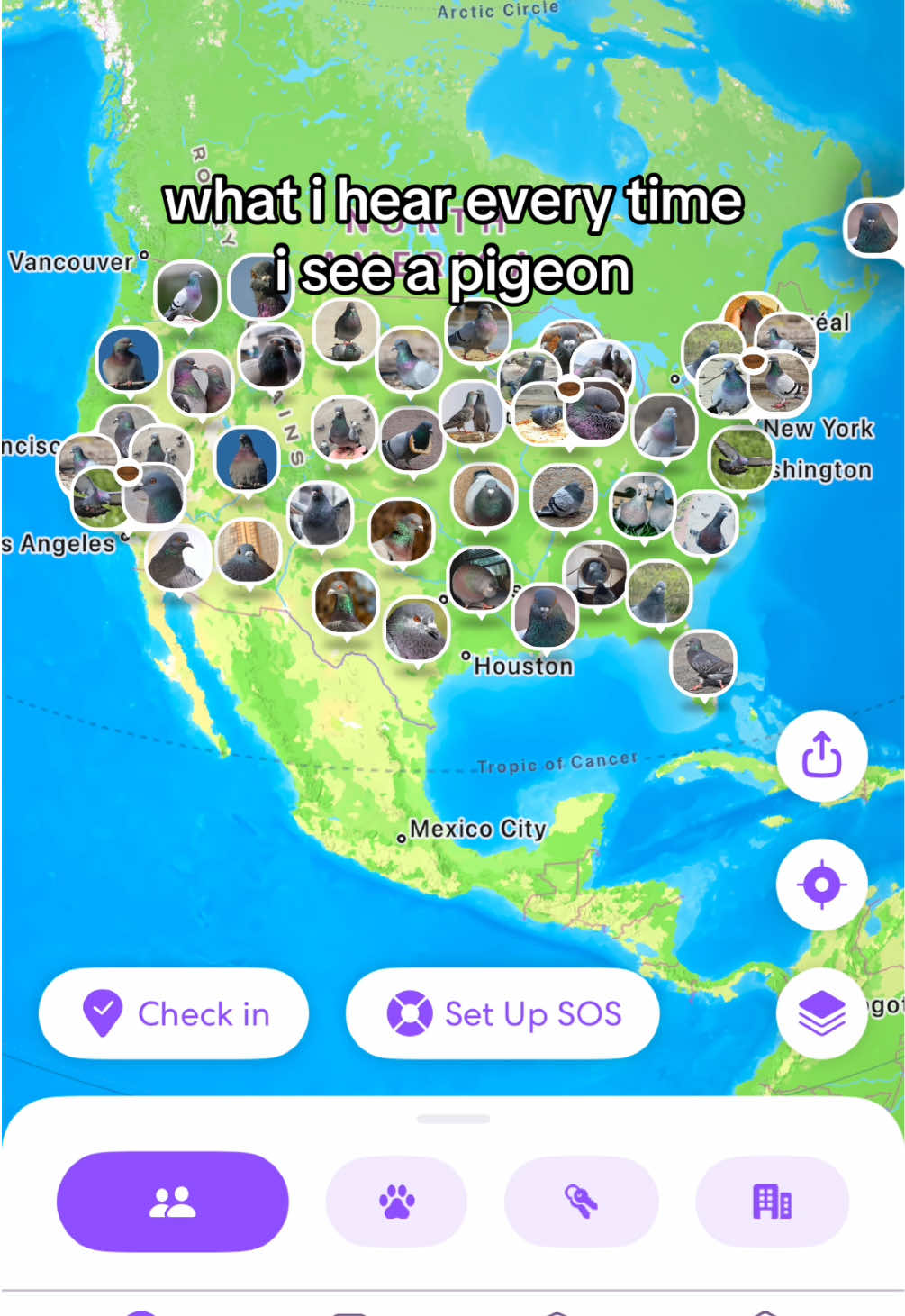 @Life360