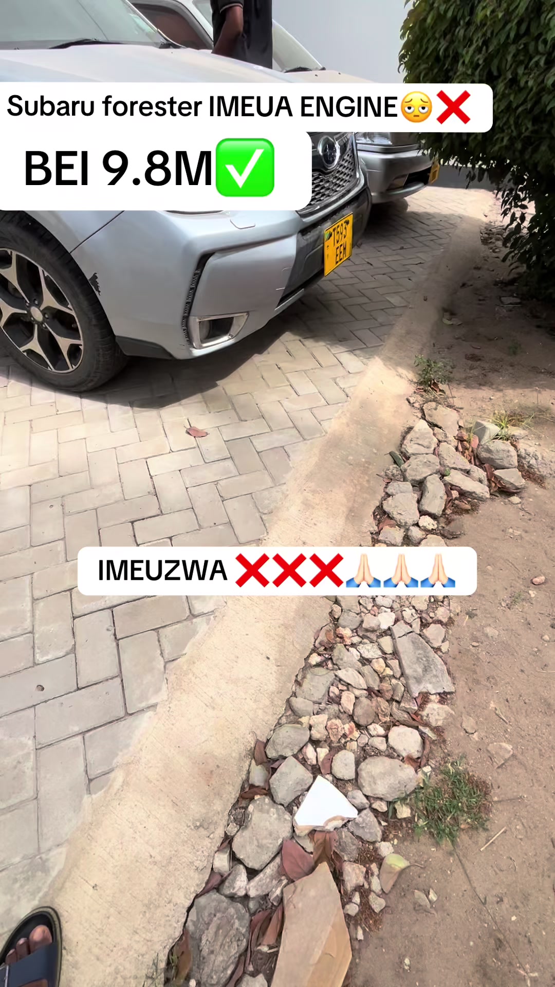 @Ndelwa Magari