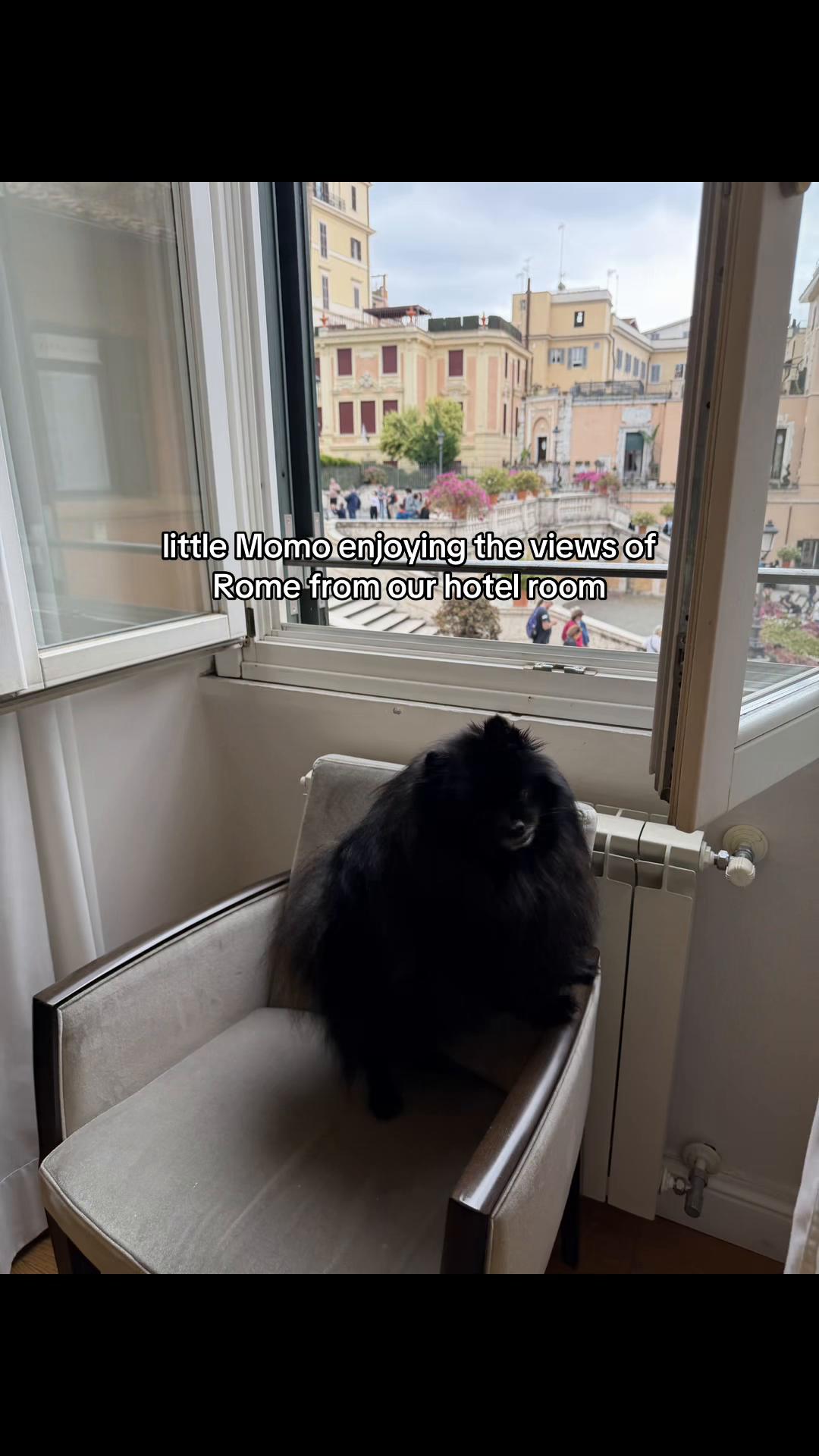 @mimi & momo