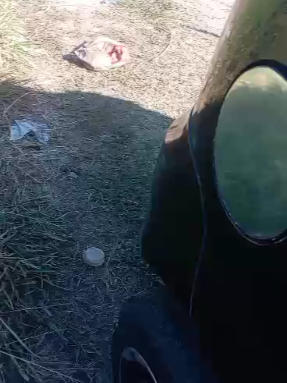 @ayudando perritos