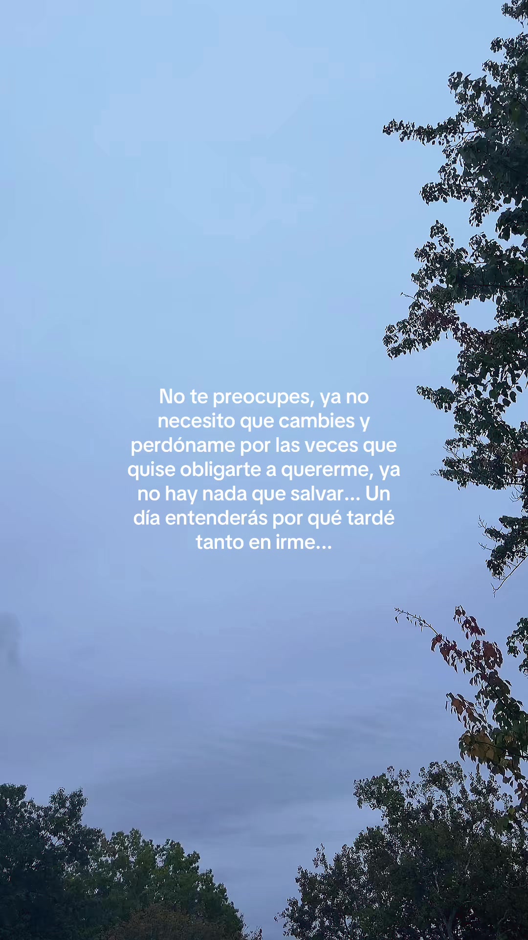 @Frases de todo un poco...
