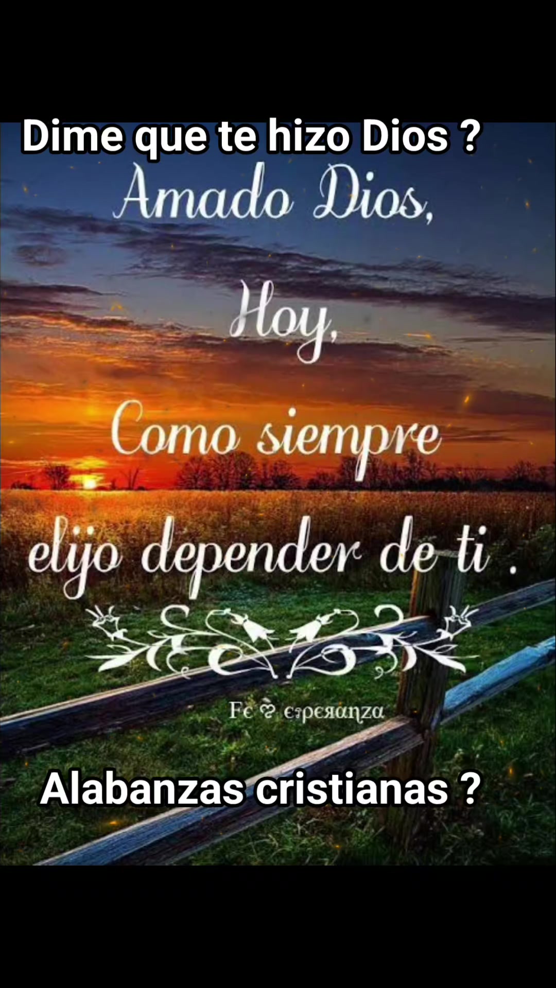 @amparo