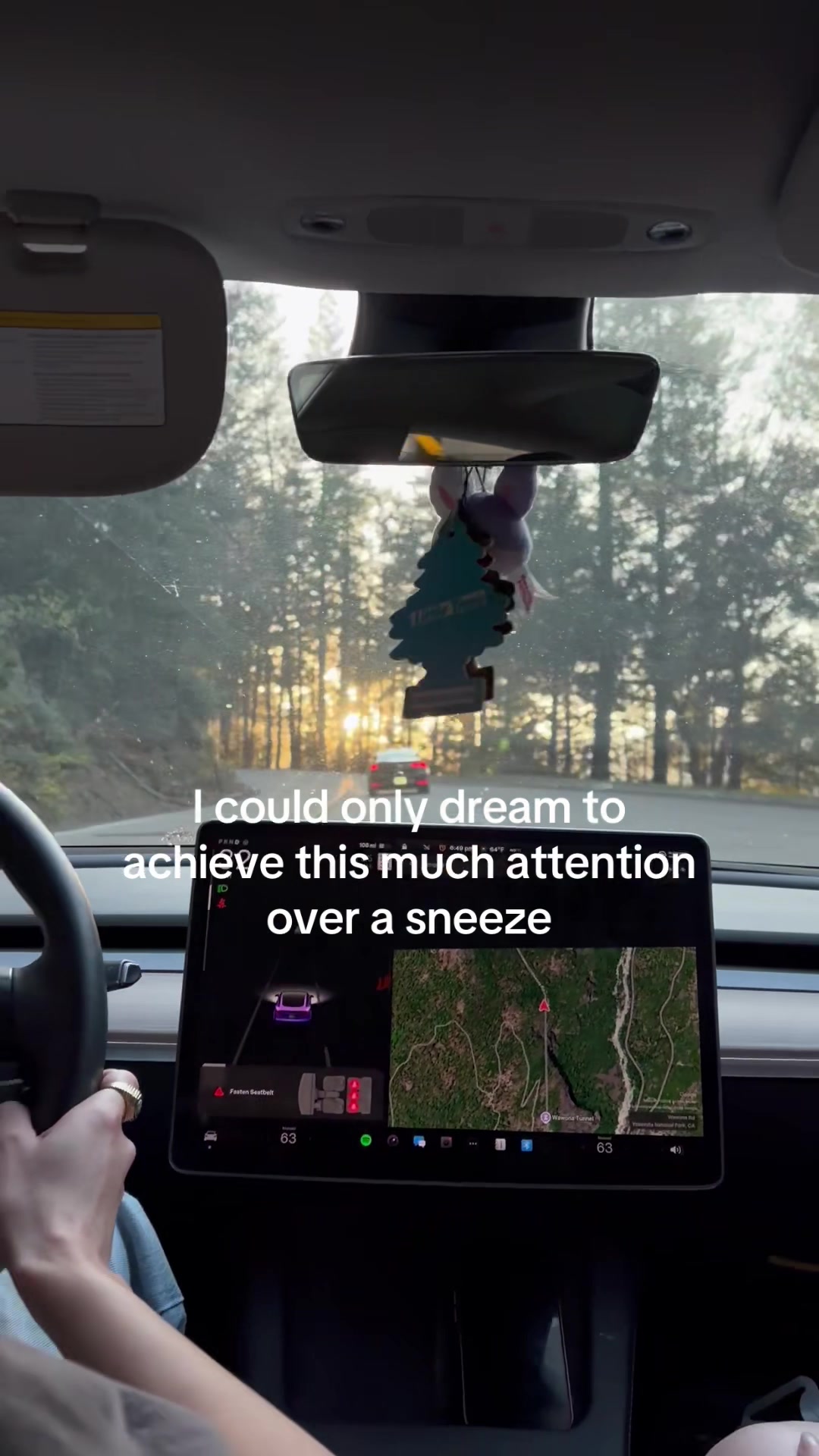 @demi devito