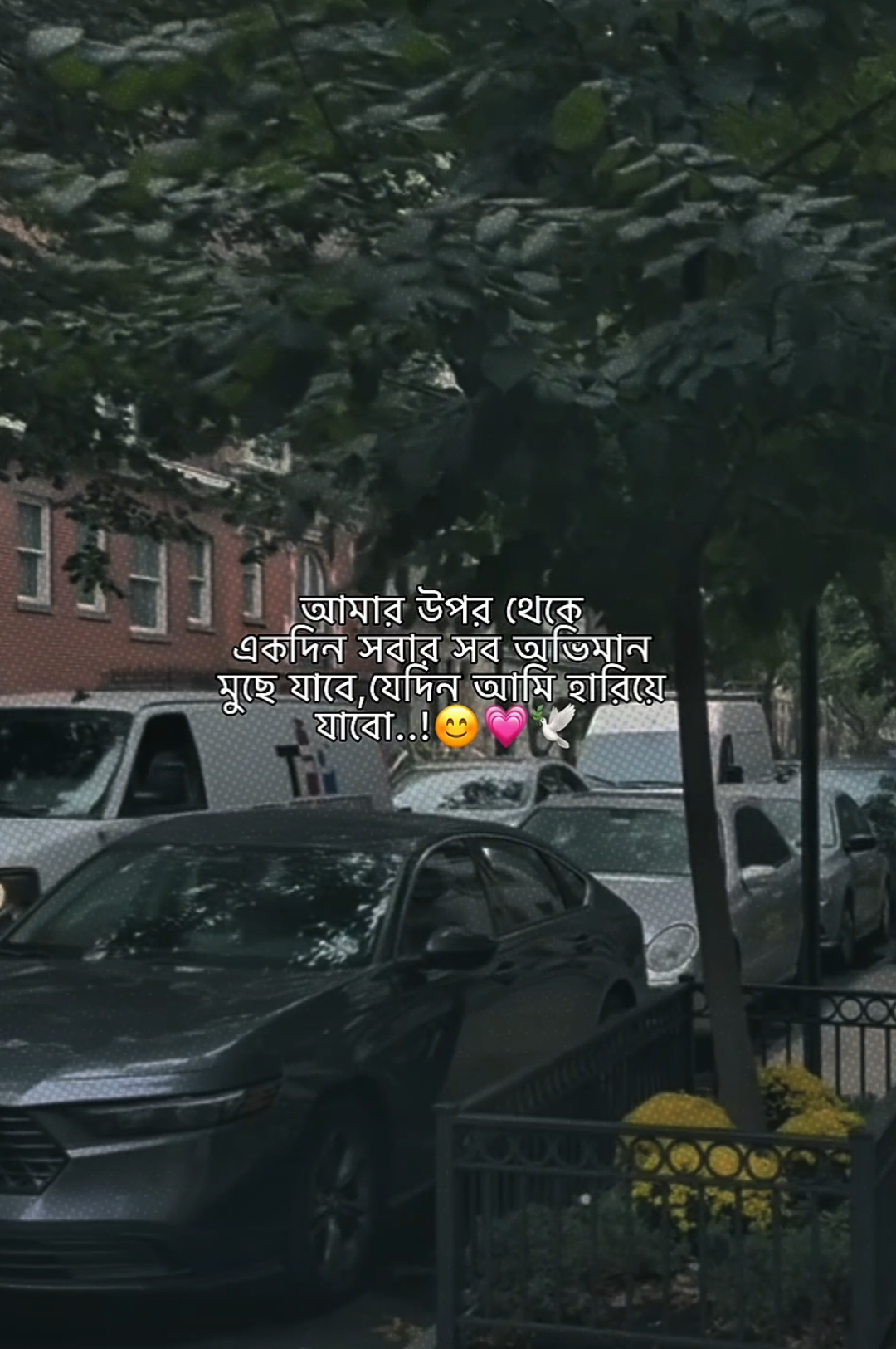 @𝗠𝗮𝘀𝗵𝗮𝗹𝗹𝗮𝗵 𝗔𝗽𝘂'♡︎🌷