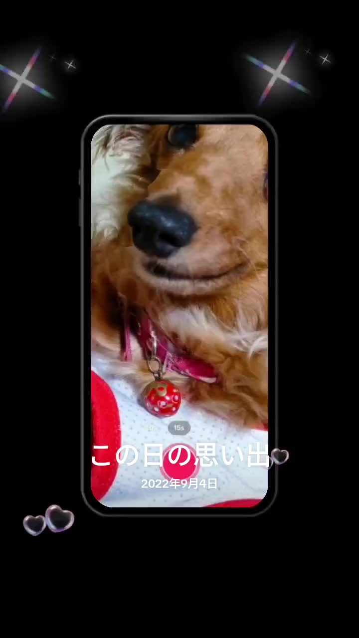 @ラムパパ