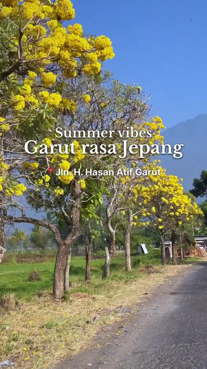 @asligarut___