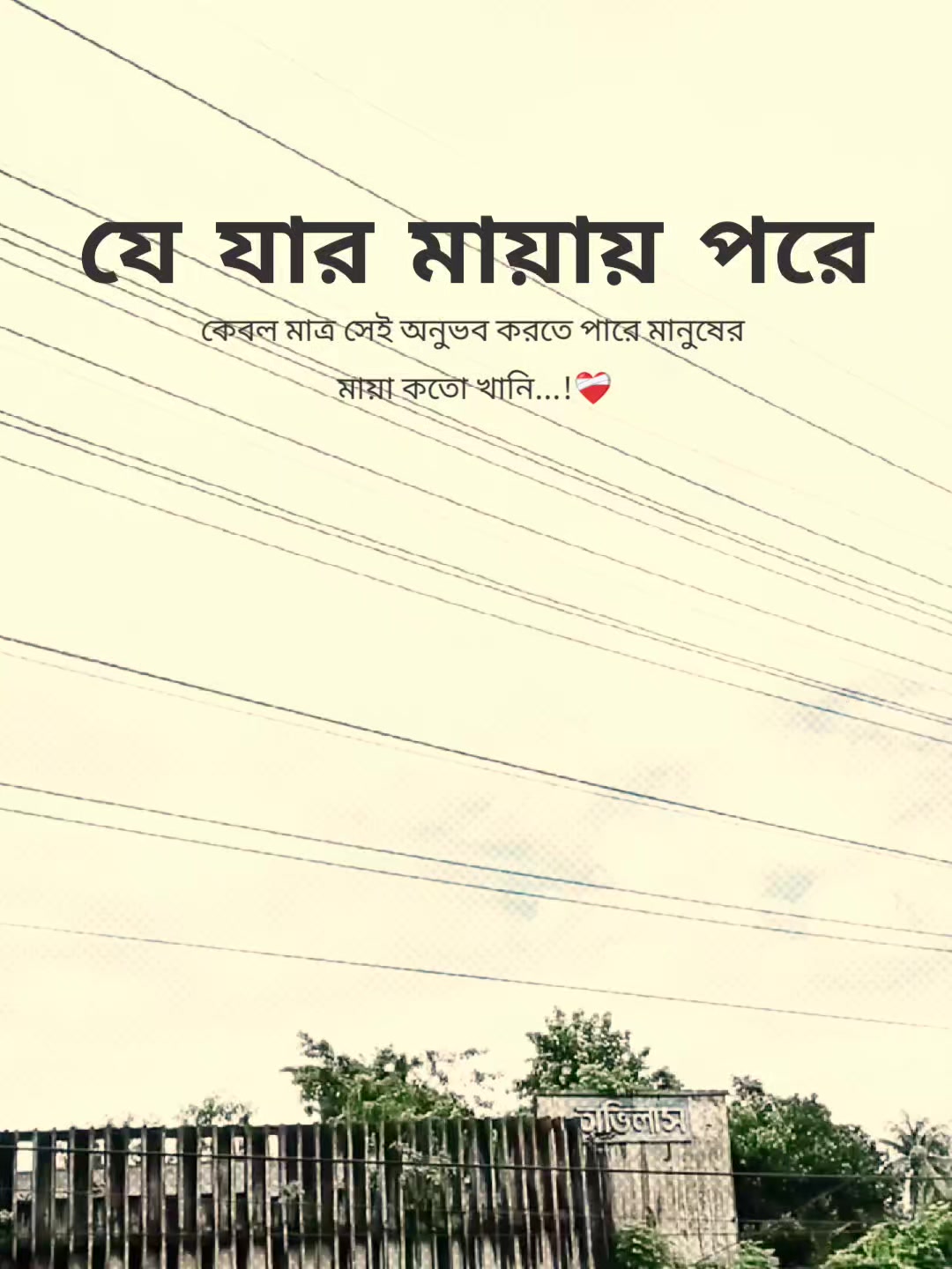 @꧁⭑শেষ পৃষ্ঠা⭑꧂