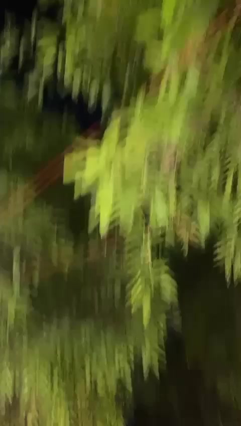 @allahjan4646
