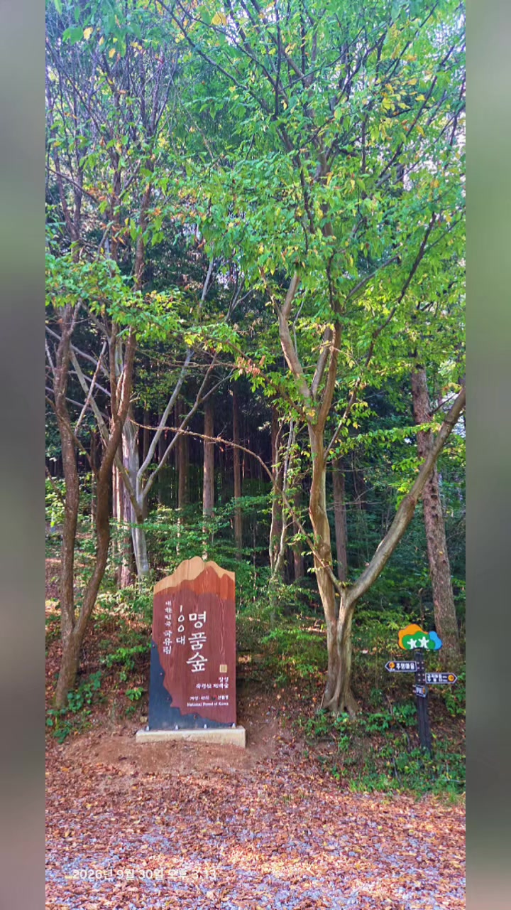 @산타는 ~연예인