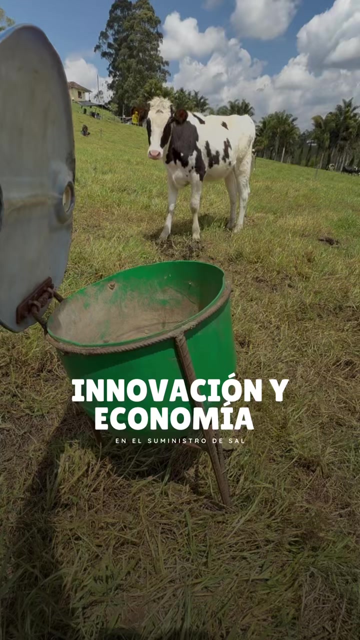 @Rehagronegocios