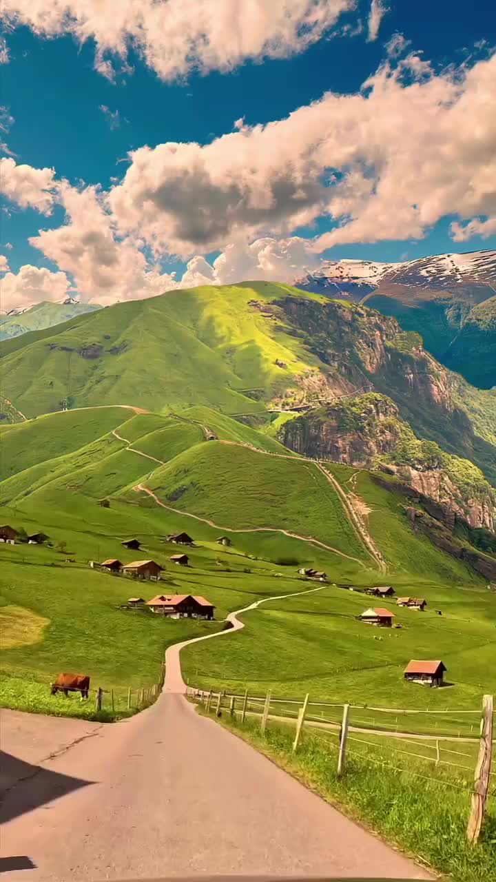 @syangjali magar