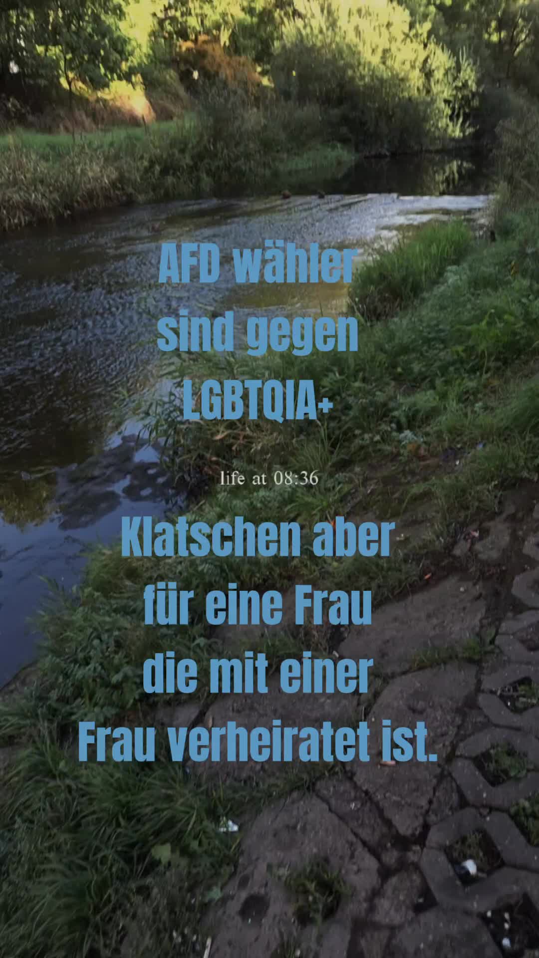 @<~🦋🎭🐊~>