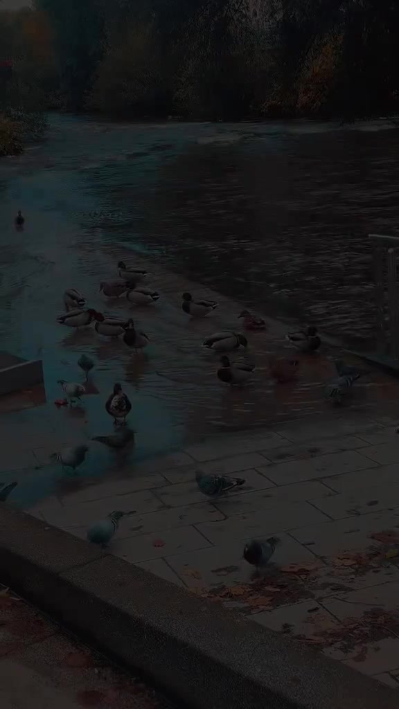 @..ندا..🤍
