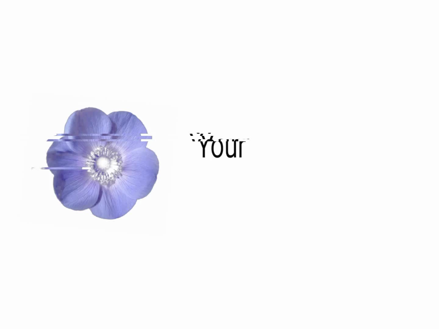 @︎ ︎ ︎ ︎ ︎︎︎︎︎︎︎︎︎︎︎Jed ︎ ︎ ︎ ︎